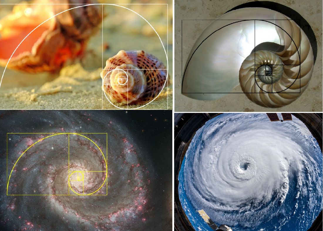 Κολάζ εικόνων: κοχύλι nautilus, γαλαξίας, τυφώνας, απεικονίζοντας τη χρυσή τομή και την ακολουθία Fibonacci στα μαθηματικά της φύσης.